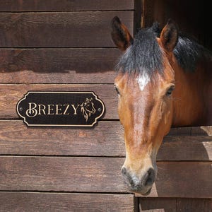 May include: A brown horse with a black mane and a white blaze on its forehead looks out from a wooden stable. A black sign with the name "BREEZY" and a horse silhouette is mounted on the wooden wall.