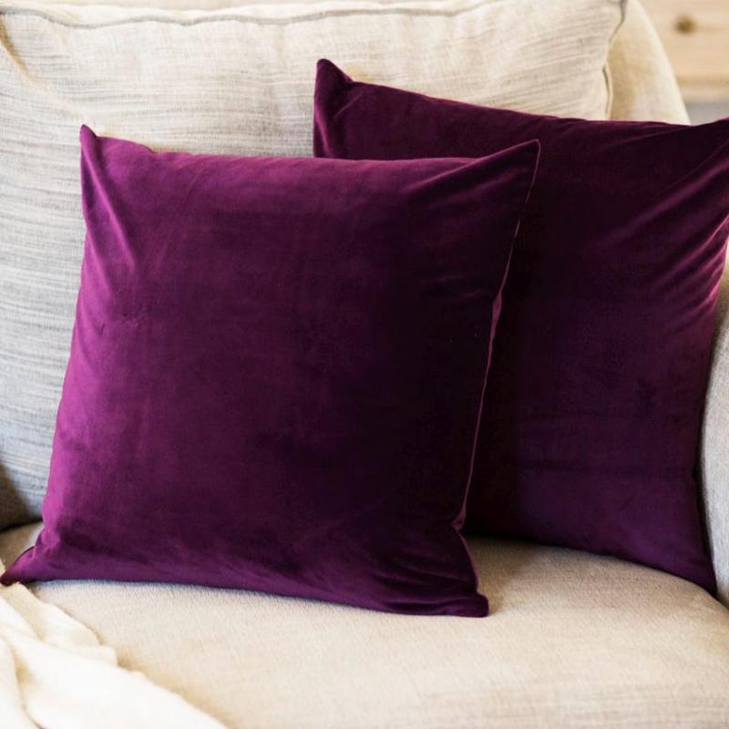 Photo inspiration: Visual Reference: Purple Plum Pillow Cover