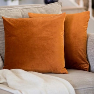 Rust Velvet Pillow Cover: Burnt orange Throw Pillow