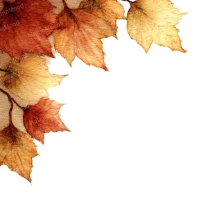 May include: A watercolour illustration of autumn leaves in shades of red, orange, and yellow. The leaves are arranged in the upper left corner, with a white background. The leaves have detailed veins and textures, suggesting a natural theme.