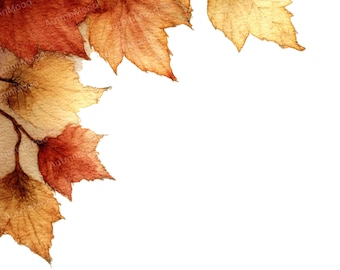 16 Hängende Herbstblätter Rahmen, PNG Herbst Blatt Rahmen - Transparenter digitaler Download