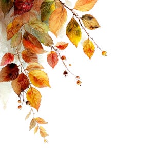 May include: Watercolor painting of autumn leaves in shades of yellow, orange, and red. The leaves are attached to thin, brown branches, with small berries. The artwork is set against a white background, creating a contrast that highlights the vibrant colors of the foliage.