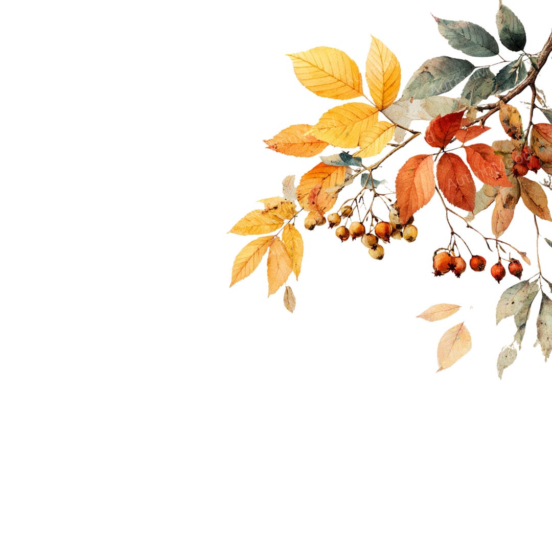 12 Watercolor Autumn Leaves Clipart: Fall Foliage PNG (digital Download ...