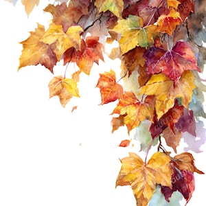 Könnte beinhalten: Aquarellmalerei von Herbstblättern in Gelb-, Orange- und Rottönen. Die Blätter sind an einem braunen Ast befestigt, wobei einige Blätter fallen. Der weiße Hintergrund bildet einen Kontrast zu den farbenfrohen Blättern. Das Kunstwerk erinnert an die Herbstsaison.
