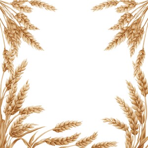 Puede incluir: Ilustración en acuarela de tallos y espigas de trigo en tonos marrones y beige, dispuestas alrededor de los bordes de un fondo blanco. El trigo está detallado con texturas y sombras visibles, creando un aspecto naturalista.