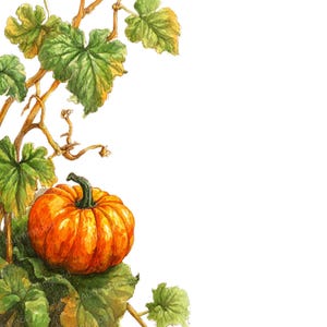 May include: Watercolor illustration of a vibrant orange pumpkin with a green stem, nestled among green and yellow leaves and vines. The artwork has a natural, autumnal theme, perfect for fall-themed crafts and designs.