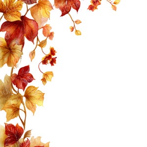 Puede incluir: Ilustración en acuarela de hojas de otoño en tonos rojos, naranjas y amarillos. Las hojas están dispuestas a lo largo de una vid, creando un borde decorativo sobre un fondo blanco. La imagen evoca un tema otoñal.