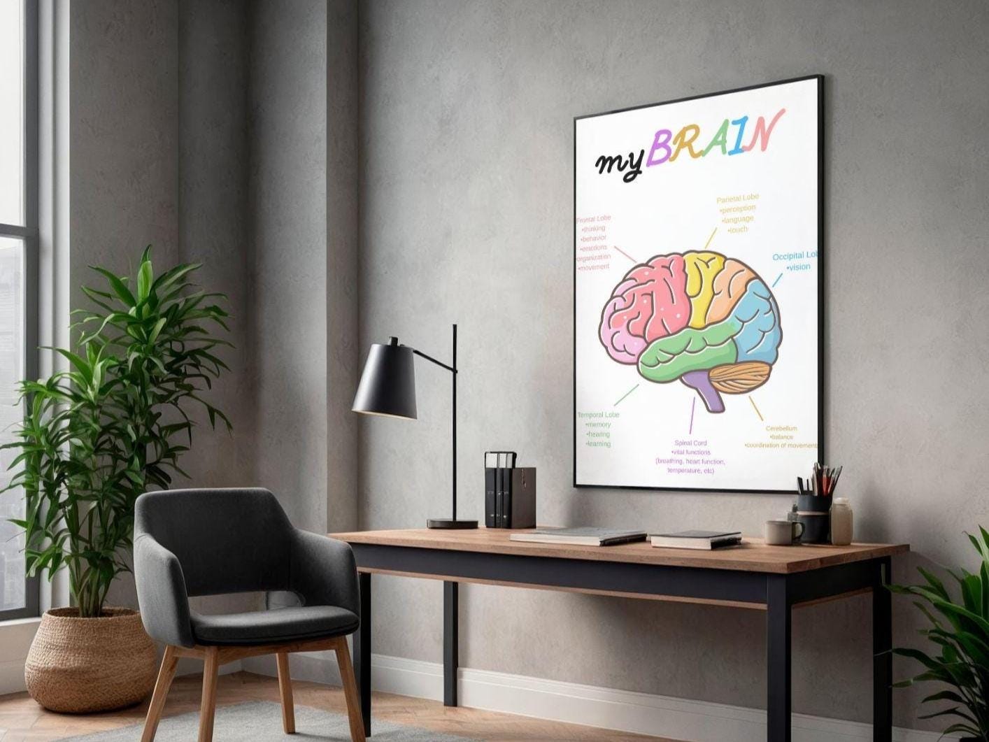 Brain Anatomy Poster - Etsy Australia