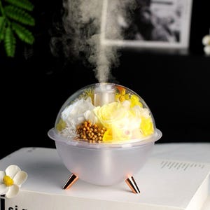 Puede incluir: Un difusor de aromaterapia blanco y transparente con una cúpula de cristal, lleno de flores amarillas y blancas. El difusor emite un chorro de vapor. La base tiene tres patas doradas. El difusor está sobre un libro blanco con el texto "si grande".