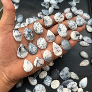 May include: A collection of polished dendritic opal cabochons featuring white and translucent bases with intricate black, fern-like branching inclusions. These smooth, rounded, and teardrop-shaped gemstones are displayed in various sizes and patterns.
