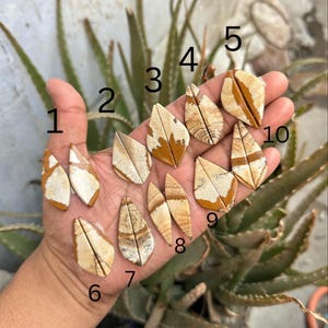 May include: A collection of ten leaf-shaped, polished gemstones. The stones feature a mix of tan, cream, and brown colors with unique veining patterns. The gemstones are displayed on a hand, showcasing their individual shapes and textures.
