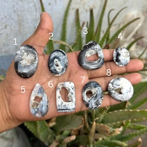 Può includere: Otto cabochon in agata dendritica bianca e nera numerati da uno a otto. Ogni pietra presenta motivi naturali unici, forme varie e piccole cavità centrali. Le pietre sono mostrate all'interno di un palmo per dare un'idea della scala.
