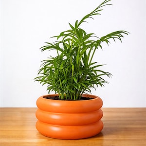 Könnte beinhalten: Eine Zimmerpflanze mit hellgrünen Blättern in einem orangefarbenen Keramiktopf. Der Topf hat ein gestapeltes Design mit drei abgerundeten Abschnitten. Der Topf steht auf einer Holzoberfläche vor weißem Hintergrund.