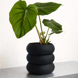 Donut Vase STL File for 3D Printing, Bauhaus Modern Planter, Minimalist Geometric Cachepot, Digital Download Home Decor