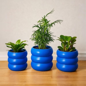 Può includere: Tre vasi blu a forma di anelli impilati con piante verdi. I vasi sono appoggiati su un pavimento in legno contro un muro bianco. Le piante variano per dimensioni e tipo.