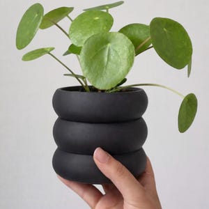 Pode incluir: Uma pequena planta verde com folhas redondas num vaso preto empilhado. O vaso tem um design único e arredondado. A planta é segurada por uma mão contra um fundo liso. As folhas da planta são de um verde vibrante.