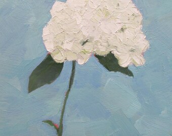Jennifer Boswell Canvas Print 12x12 White Hydrangea on Blue Signed Canvas Print from Original Oil Kitchen Painting Still Life Ready to Hang