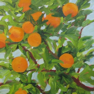Canvas Print Jennifer Boswell 30x30 Orange Tree Signed Canvas Print from Original Oil Painting Kitchen Decor Housewarming Gift Ready to Hang