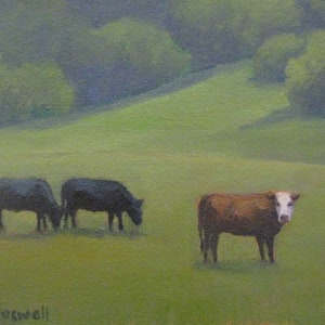 Jennifer Boswell Santa Barbara Art  20x16 Canvas Print from Original Oil Painting Santa Ynez Cows Landscape Housewarming Gift Ready to Hang