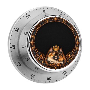 Princess Donut Dungeon Countdown Kitchen Timer