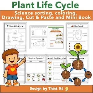 May include: Educational printable featuring the plant life cycle. Includes science sorting, coloring, drawing, cut & paste activities, and a mini-book. The image shows a child pointing to the educational material. The text reads "Plant Life Cycle".