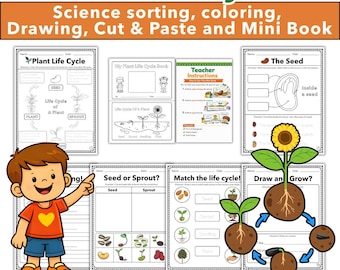 Plant Life Cycle Worksheets | Parts of a Plant, Seed to Plant, Sorting Activities & Mini Book | Kindergarten and 1st Grade Science