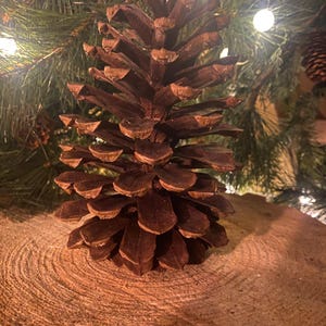 Puede incluir: Una gran piña marrón con escamas abiertas descansa sobre una superficie de madera. La piña está enfocada, con un árbol de Navidad y luces de cadena en el fondo. Los elementos naturales crean un tema rústico y de temporada.