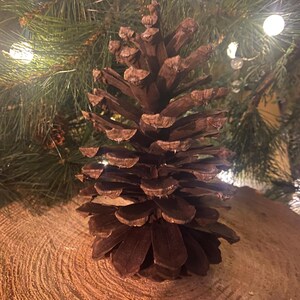 Puede incluir: Una gran piña marrón con escamas en capas, sobre un fondo de agujas de pino verdes y luces suaves y desenfocadas. El cono descansa sobre una superficie de madera clara y texturizada, creando una estética natural y rústica.