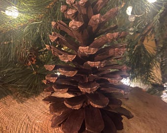 May include: A large, brown pine cone with layered scales, set against a backdrop of green pine needles and soft, out-of-focus lights. The cone rests on a light brown, textured wooden surface, creating a natural, rustic aesthetic.
