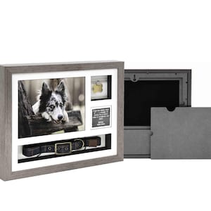 May include: A gray wooden pet memorial shadow box with a photo of a dog, a dog tag, and a collar. The shadow box has a white matting and a gray frame. The dog is a border collie mix. The text on the tag is blurry.