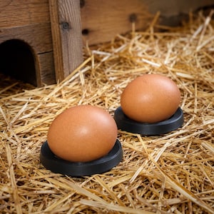 Könnte beinhalten: Zwei braune Hühnereier, die jeweils sicher in einem runden schwarzen Kunststoffhalter liegen. Die Eier befinden sich auf einem Bett aus trockenem gelbem Stroh, wobei ein Teil einer Holzstruktur in der oberen linken Ecke zu sehen ist.