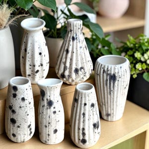 May include: A selection of six ceramic vases in different shapes. The vases are off-white with a speckled black pattern and vertical ribbed detailing. They are displayed on a wooden surface, with plants in the background.