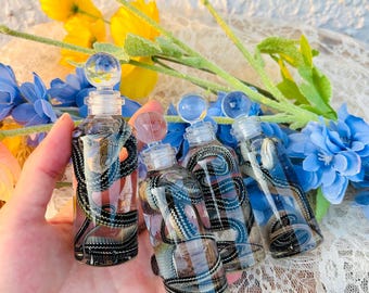 Real Preserved Snake Specimen in Vial, Handcrafted Wet Specimen,  Bottle Curiosity Gift for Him Oddities Decor, Gothic Creature Art
