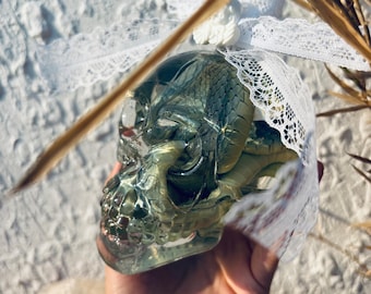 Nat exemplaar van echte engel blauwe slang in glas, verzegeld nat exemplaar | Woondecoratie, kerstcadeau