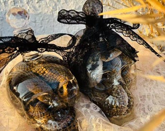 Transparent Skull Snake Specimen, Gothic Snake in Skull Jar, Real Preserved Snake Specimen, Sealed Wet Specimen|Home Decor, Christmas Gift