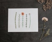 Botanical Art Print. 4x5 Print. Watercolor Print. Flower Illustration. Art Postcard. Botanical Print. Nursery Home Decor