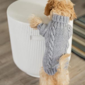 Custom Handmade Dog Sweater, Soft Knitted Pet Outfit, Everyday Clothing for Dogs