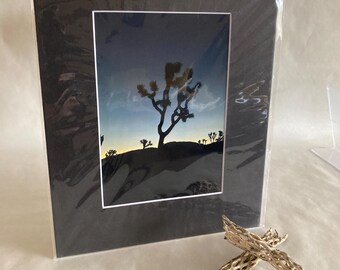 Sunrise in the Desert: Photography 5x7 Matted Photo "Silver Sunrise"