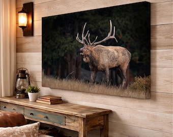 Bull Elk Bugling Wildlife Photography, Elk Wall Art, Colorado Canvas & Photo Print