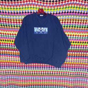 May include: Navy blue sweatshirt featuring a rectangular graphic of the Tasmanian Devil with the word "TAZ" in blue. The sweatshirt is hanging on a red hanger against a colorful patterned background.