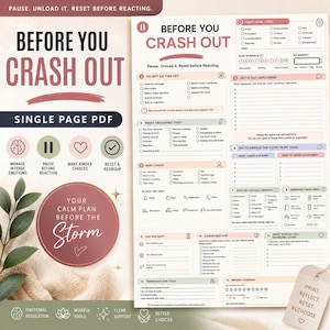 May include: A single-page PDF worksheet titled Before You Crash Out, featuring a structured layout with numbered sections for emotional regulation, including checklists for triggers, body checks, and a facts versus story analysis in muted tones.