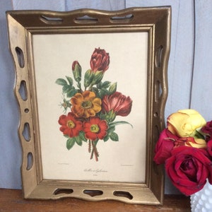 Vintage J P Redoute Framed Print Floral Lithograph / French Lithograph / Framed Print / Floral Print / Schrouth Print
