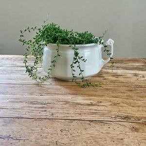 Antique Johnson Brothers Ironstone Chamber Pot
