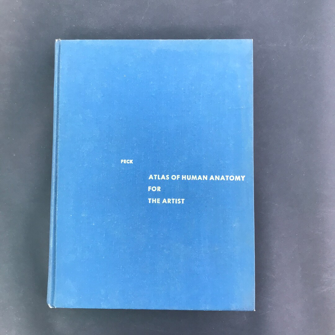 AN ATLAS OF ANATOMY FOR ARTISTS 189 PLATES PDF visual data 5
