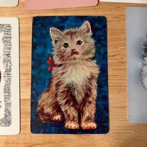 K&ouml;nnte beinhalten: Nahaufnahme eines braun-wei&szlig;en Tabby-K&auml;tzchens mit einer roten Schleife, das auf einem blauen Hintergrund sitzt. Das K&auml;tzchen hat gr&uuml;ne Augen und schaut nach oben.