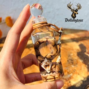 May include: A clear glass bottle containing a snake, with a clear glass stopper. The bottle is secured with a leather cord and a metal clasp. The logo "Dollsbytour" is visible in the upper right corner.