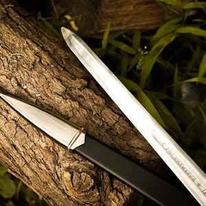 Puede incluir: Una espada plateada con punta y una vaina negra descansa sobre un tronco marr&oacute;n texturizado. La hoja de la espada tiene texto grabado. El follaje verde es visible en el fondo, creando un contraste con el brillo met&aacute;lico de la espada.