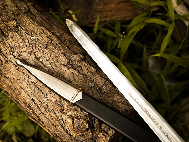 Puede incluir: Una espada plateada con punta y una vaina negra descansa sobre un tronco marr&oacute;n texturizado. La hoja de la espada tiene texto grabado. El follaje verde es visible en el fondo, creando un contraste con el brillo met&aacute;lico de la espada.