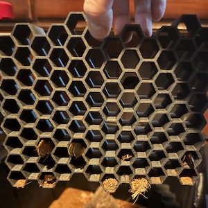 Puede incluir: Una estructura en forma de panal de color gris oscuro, posiblemente un hábitat o un elemento decorativo, es sostenida por una mano. La estructura está llena de pequeños objetos oscuros y algo de material similar a la paja. El fondo incluye un mueble de madera y un terrario.