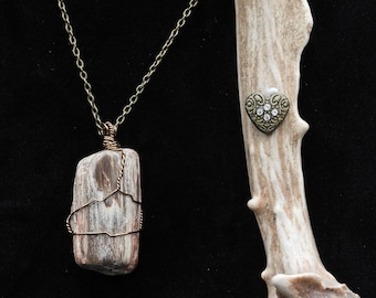 Agatized Petrified Wood Pendant Necklace